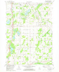 Lyon Lake Michigan Historical topographic map, 1:24000 scale, 7.5 X 7.5 Minute, Year 1980