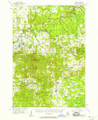 Mesick Michigan Historical topographic map, 1:62500 scale, 15 X 15 Minute, Year 1956