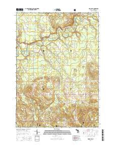 Mesick NE Michigan Historical topographic map, 1:24000 scale, 7.5 X 7.5 Minute, Year 2014
