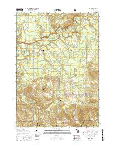Mesick NE Michigan Current topographic map, 1:24000 scale, 7.5 X 7.5 Minute, Year 2016