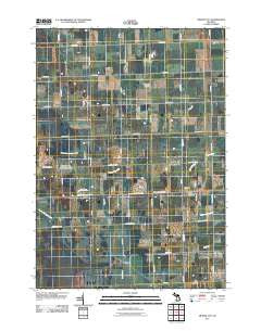 Minden City Michigan Historical topographic map, 1:24000 scale, 7.5 X 7.5 Minute, Year 2011