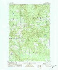 Morey Michigan Historical topographic map, 1:25000 scale, 7.5 X 7.5 Minute, Year 1983