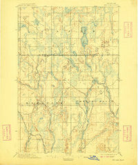 Ned Lake Michigan Historical topographic map, 1:62500 scale, 15 X 15 Minute, Year 1895