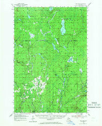 Ned Lake Michigan Historical topographic map, 1:62500 scale, 15 X 15 Minute, Year 1955