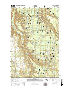 Paynesville Michigan Current topographic map, 1:24000 scale, 7.5 X 7.5 Minute, Year 2017