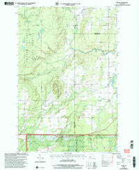 Pelkie Michigan Historical topographic map, 1:24000 scale, 7.5 X 7.5 Minute, Year 1999