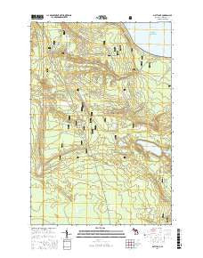 Piatt Lake Michigan Current topographic map, 1:24000 scale, 7.5 X 7.5 Minute, Year 2017