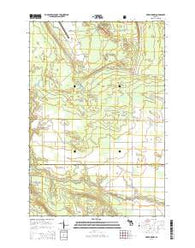 Pickford NW Michigan Historical topographic map, 1:24000 scale, 7.5 X 7.5 Minute, Year 2014
