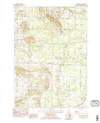 Pleasanton Michigan Historical topographic map, 1:25000 scale, 7.5 X 7.5 Minute, Year 1982