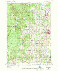 Reed City Michigan Historical topographic map, 1:62500 scale, 15 X 15 Minute, Year 1959