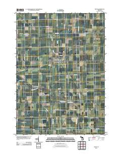 Reese Michigan Historical topographic map, 1:24000 scale, 7.5 X 7.5 Minute, Year 2011