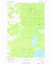 Rice Lake Michigan Historical topographic map, 1:24000 scale, 7.5 X 7.5 Minute, Year 1954