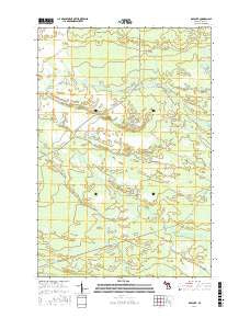 Roy Lake Michigan Current topographic map, 1:24000 scale, 7.5 X 7.5 Minute, Year 2017