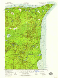 Shelldrake Michigan Historical topographic map, 1:62500 scale, 15 X 15 Minute, Year 1951