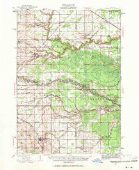 Shepherd Michigan Historical topographic map, 1:62500 scale, 15 X 15 Minute, Year 1930