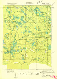 Skeels Lake NE Michigan Historical topographic map, 1:31680 scale, 7.5 X 7.5 Minute, Year 1931