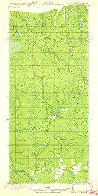 Skeels Lake NW and SW Michigan Historical topographic map, 1:31680 scale, 7.5 X 7.5 Minute, Year 1932