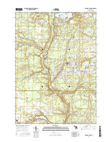 Skidway Lake Michigan Current topographic map, 1:24000 scale, 7.5 X 7.5 Minute, Year 2017