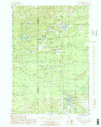 South Boardman Michigan Historical topographic map, 1:24000 scale, 7.5 X 7.5 Minute, Year 1985