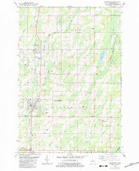 Stephenson Michigan Historical topographic map, 1:24000 scale, 7.5 X 7.5 Minute, Year 1982