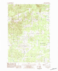 Stittsville Michigan Historical topographic map, 1:24000 scale, 7.5 X 7.5 Minute, Year 1983
