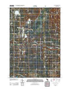 Tallman Michigan Historical topographic map, 1:24000 scale, 7.5 X 7.5 Minute, Year 2012