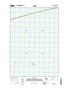Trout Island Michigan Current topographic map, 1:24000 scale, 7.5 X 7.5 Minute, Year 2016
