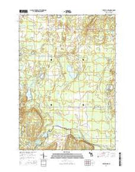 Turtle Lake Michigan Historical topographic map, 1:24000 scale, 7.5 X 7.5 Minute, Year 2014