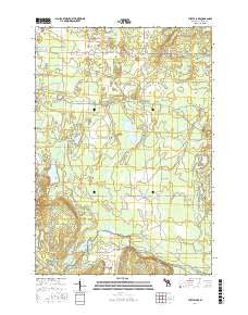 Turtle Lake Michigan Current topographic map, 1:24000 scale, 7.5 X 7.5 Minute, Year 2017