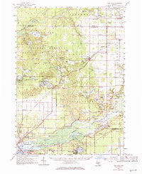Twin Lake Michigan Historical topographic map, 1:62500 scale, 15 X 15 Minute, Year 1958