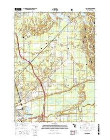 Twin Lake Michigan Current topographic map, 1:24000 scale, 7.5 X 7.5 Minute, Year 2017