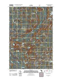 Waco Lake Michigan Historical topographic map, 1:24000 scale, 7.5 X 7.5 Minute, Year 2011