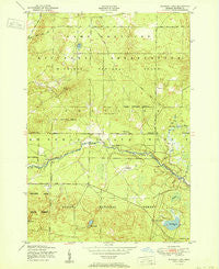 Wakeley Lake Michigan Historical topographic map, 1:24000 scale, 7.5 X 7.5 Minute, Year 1951
