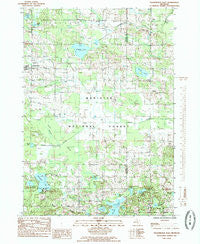Walkerville East Michigan Historical topographic map, 1:24000 scale, 7.5 X 7.5 Minute, Year 1985