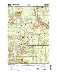 Wellston Michigan Historical topographic map, 1:24000 scale, 7.5 X 7.5 Minute, Year 2014