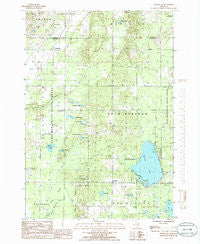 Westwood Michigan Historical topographic map, 1:24000 scale, 7.5 X 7.5 Minute, Year 1985