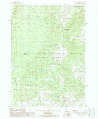 Whipple Lake Michigan Historical topographic map, 1:24000 scale, 7.5 X 7.5 Minute, Year 1987