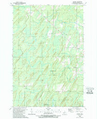 Whitney Michigan Historical topographic map, 1:24000 scale, 7.5 X 7.5 Minute, Year 1989