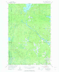 Witch Lake NE Michigan Historical topographic map, 1:24000 scale, 7.5 X 7.5 Minute, Year 1955