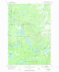 Witch Lake Michigan Historical topographic map, 1:24000 scale, 7.5 X 7.5 Minute, Year 1955