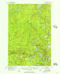 Witch Lake Michigan Historical topographic map, 1:62500 scale, 15 X 15 Minute, Year 1955