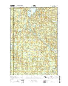 Witch Lake NE Michigan Historical topographic map, 1:24000 scale, 7.5 X 7.5 Minute, Year 2014