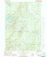 Woodland Park Michigan Historical topographic map, 1:24000 scale, 7.5 X 7.5 Minute, Year 1985