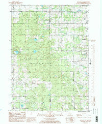 Woodville NE Michigan Historical topographic map, 1:24000 scale, 7.5 X 7.5 Minute, Year 1985