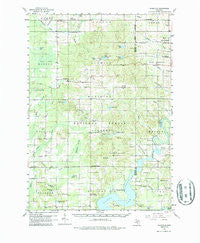 Woodville Michigan Historical topographic map, 1:62500 scale, 15 X 15 Minute, Year 1958