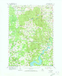 Woodville Michigan Historical topographic map, 1:62500 scale, 15 X 15 Minute, Year 1958