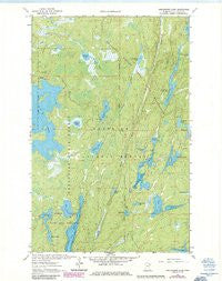 Angleworm Lake Minnesota Historical topographic map, 1:24000 scale, 7.5 X 7.5 Minute, Year 1963