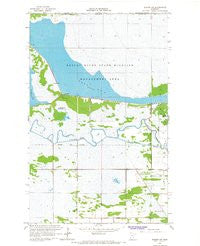 Badger NW Minnesota Historical topographic map, 1:24000 scale, 7.5 X 7.5 Minute, Year 1966