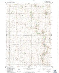 Bechyn Minnesota Historical topographic map, 1:24000 scale, 7.5 X 7.5 Minute, Year 1983