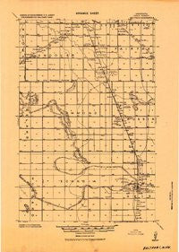 Beltrami Minnesota Historical topographic map, 1:62500 scale, 15 X 15 Minute, Year 1919
